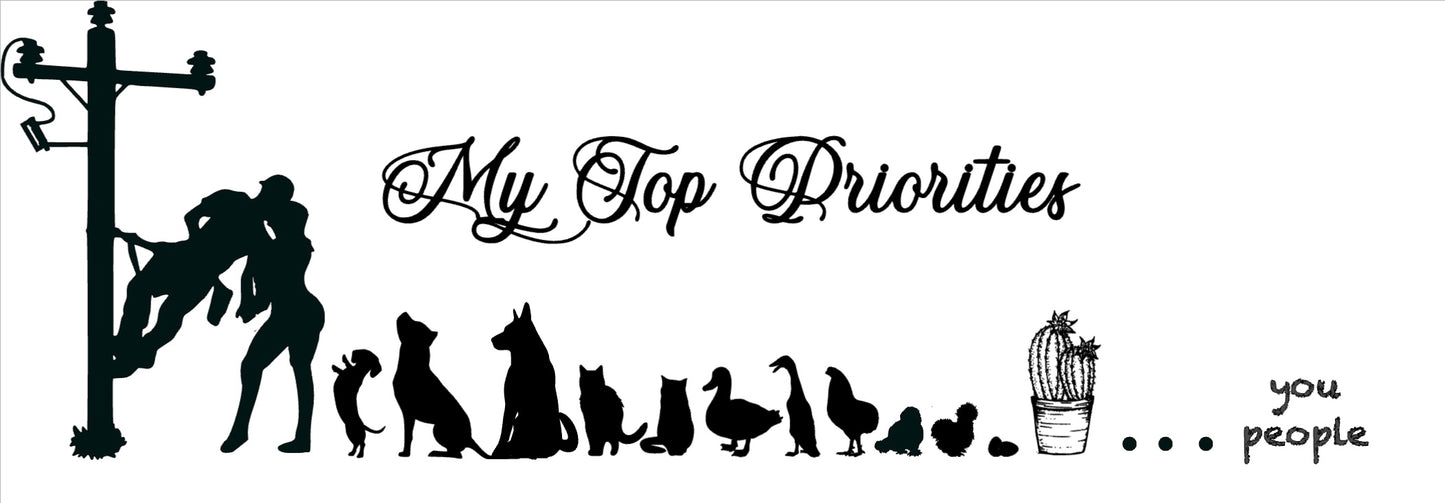 Scale of Importance Car Window Decal