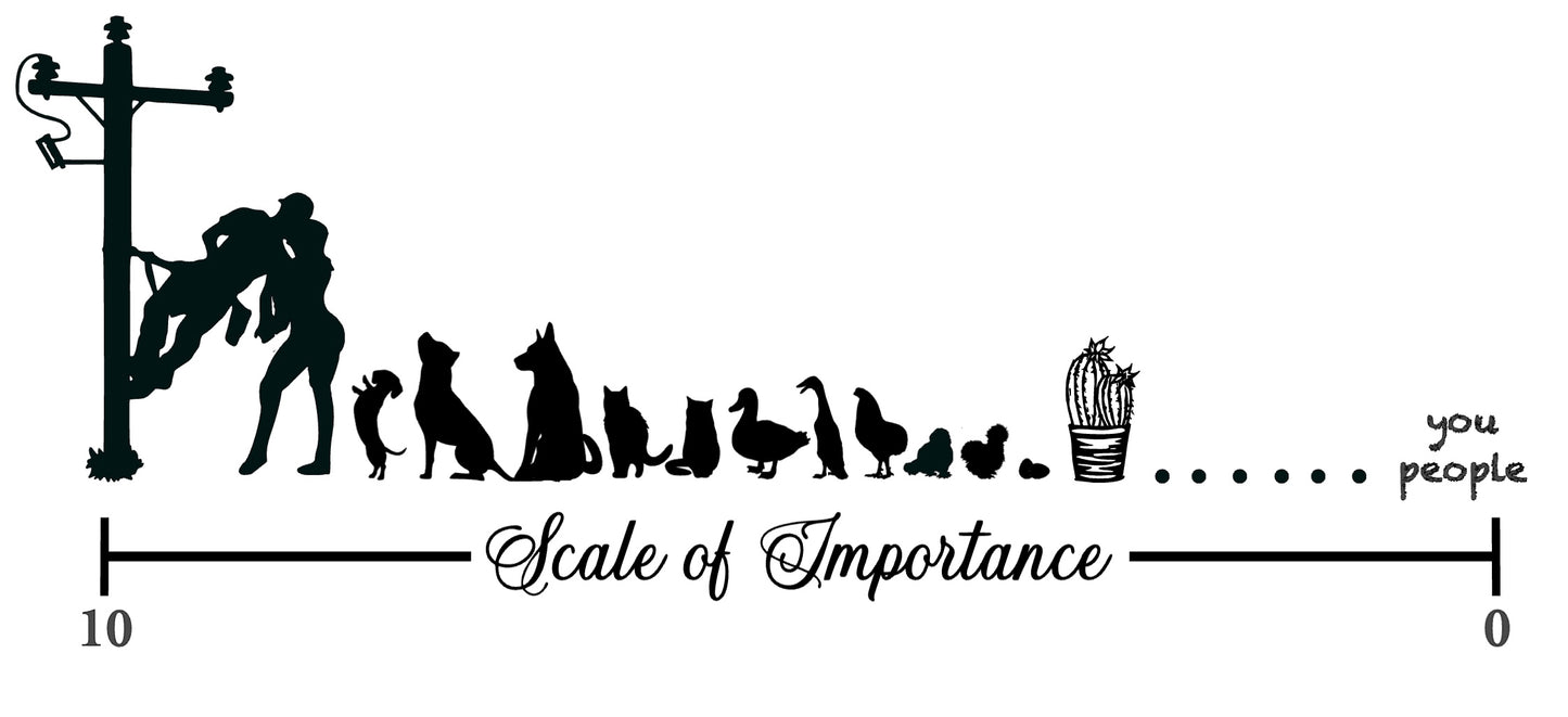Scale of Importance Car Window Decal